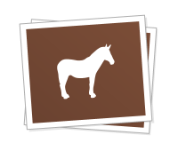 RectangleSticker
