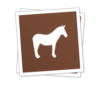 SquareStickers