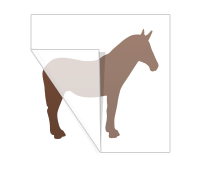 TransferSticker